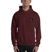 Captain Falcon Hoodie V1-SMASHGEAR