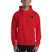 Pokemon Trainer Hoodie V1-SMASHGEAR